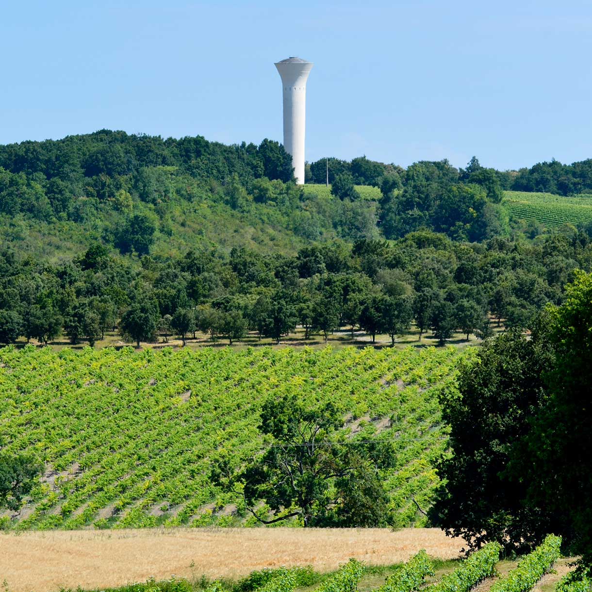 La filliale Valterra Eau Etudes Conseil