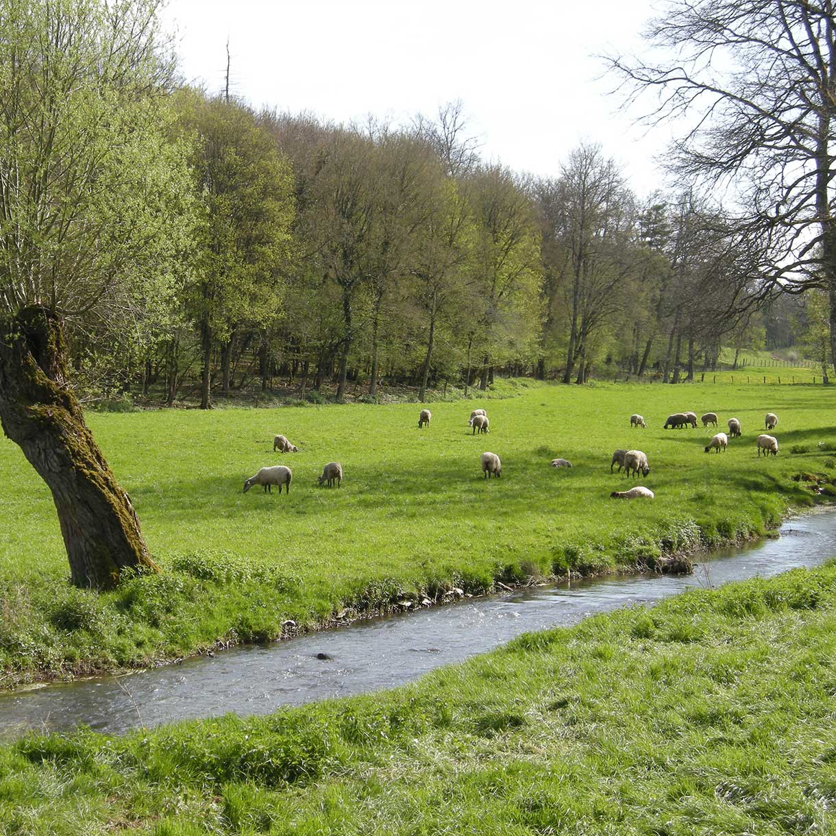 Maitrise d'oeuvre de projet d'ingénierie de l'eau